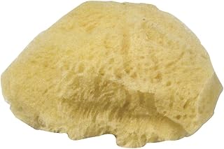 Rayher Eponges naturelles, 1 lot, 3 pces, 6-7,5cm, pores fins et grossiers, arts créatifs, peinture, nettoyage-3864600, Jaune