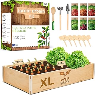 Les indispensables pour créer un jardin vertical dans votre intérieur PYEF CRAFTS Kit Jardinage Potager Interieur XL Kit