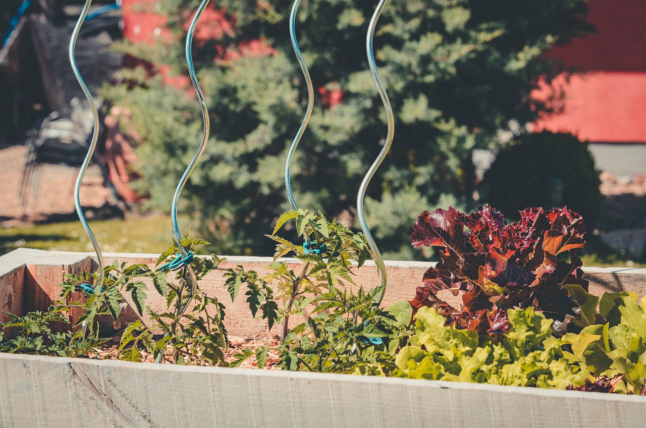 découvrez nos bacs de jardin surélevés, idéals pour cultiver vos plantes facilement et avec style tout en améliorant le drainage et la santé du sol.