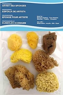 Lot de 7 à 8 éponges de mer naturelles pour artistes - Pour art et artisanat, peinture, loisirs, effets, céramique, poterie, décoration, éponge, beaux-arts - Texture fine à large, tailles 4,5 à 9,6 cm