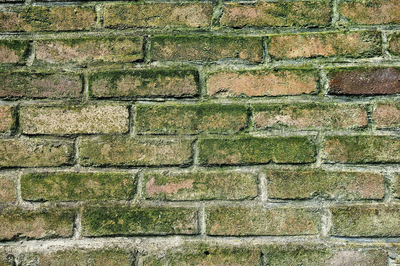 Quel mortier utiliser pour monter un muret dans son jardin ?